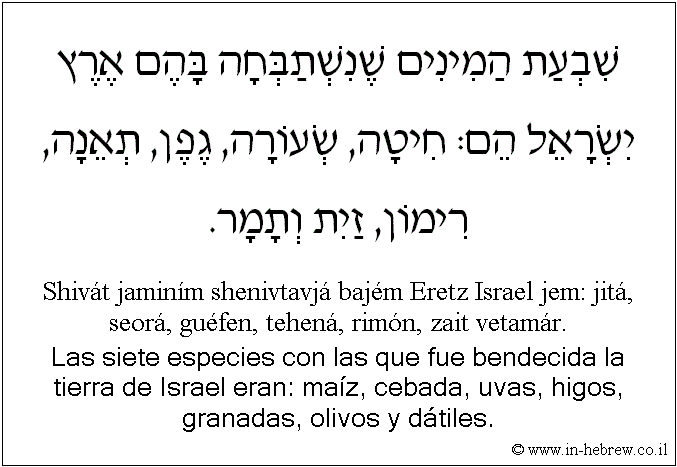 Español y hebreo: Las siete especies con las que fue bendecida la tierra de Israel eran: maíz, cebada, uvas, higos, granadas, olivos y dátiles.