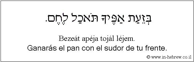 Español y hebreo: Ganarás el pan con el sudor de tu frente.