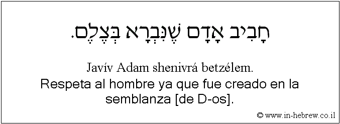 Español y hebreo: Respeta al hombre ya que fue creado en la semblanza [de D-os].